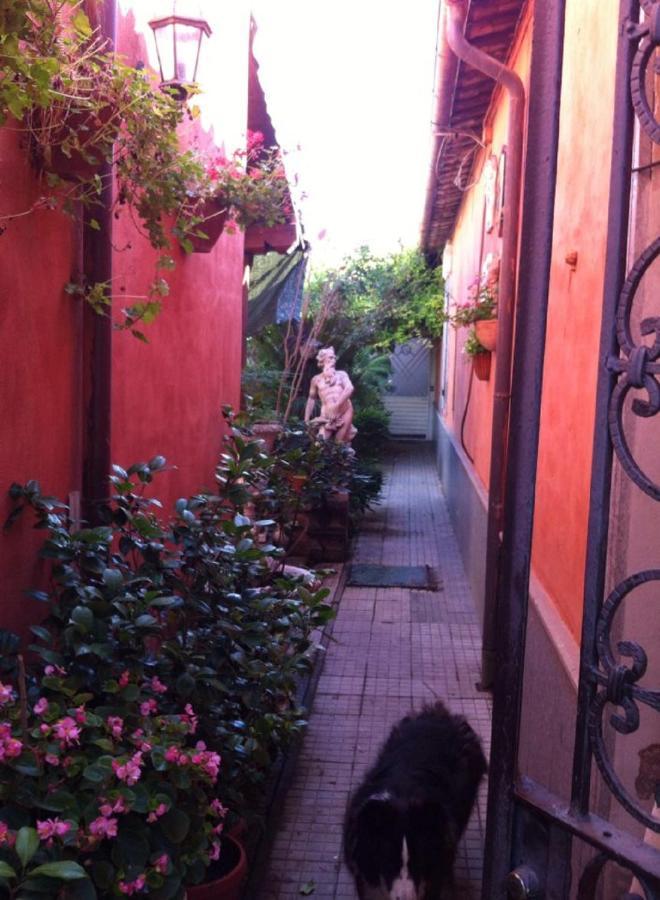 투스카니아 Casa "Oasi" Centro Storico 아파트 외부 사진