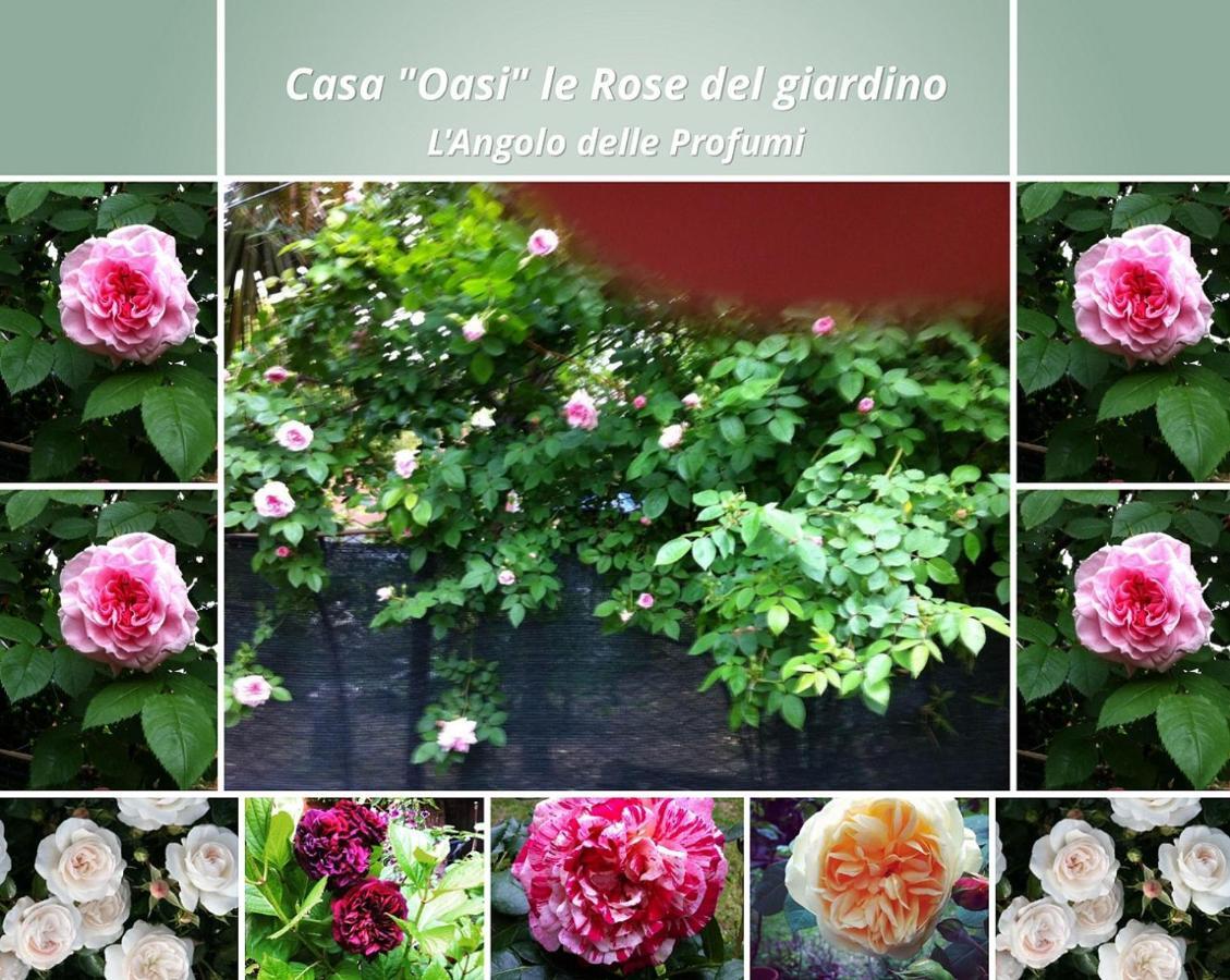투스카니아 Casa "Oasi" Centro Storico 아파트 외부 사진